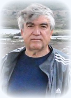 Mehmet KARAKAYA